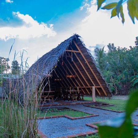 Dinna Nature Hostel 锡吉里亚 外观 照片