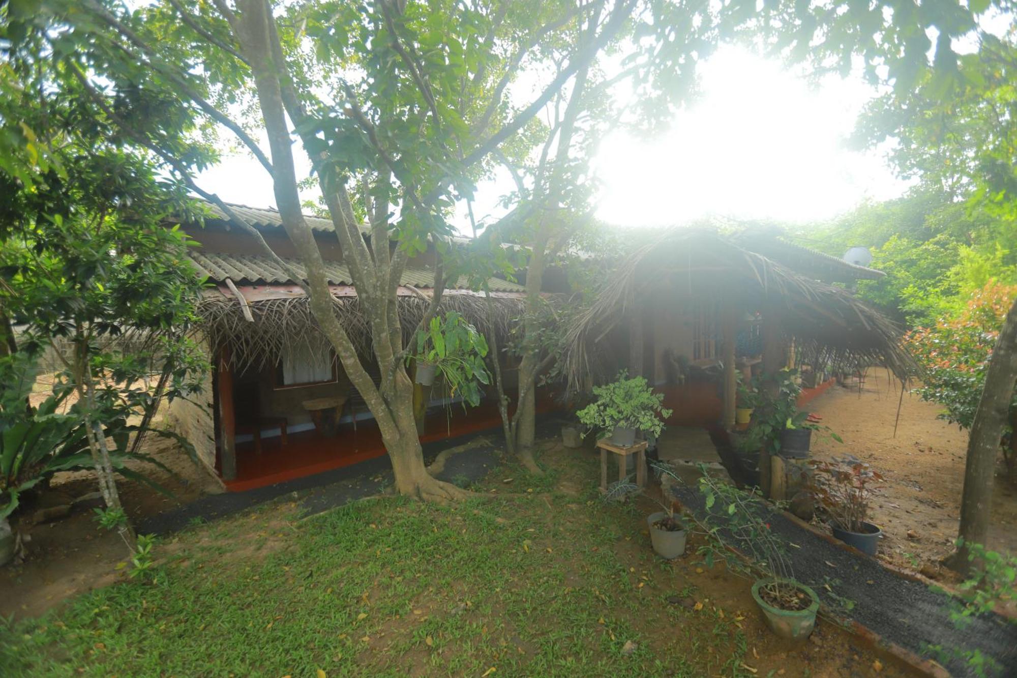 Dinna Nature Hostel 锡吉里亚 外观 照片